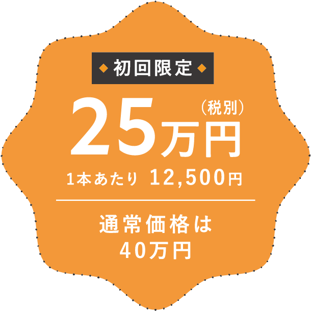 初回限定価格 25万円（税別）